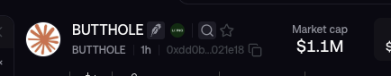 A cryptocurrency token display showing the name 'BUTTHOLE' with a sunburst logo, a market cap listed as $1.1M, and the contract address beginning with '0xdd0b...021e18'.