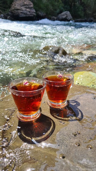 Two glasses of reddish tea sit on a rocky riverbank beside flowing water, with small pink flower petals floating inside.