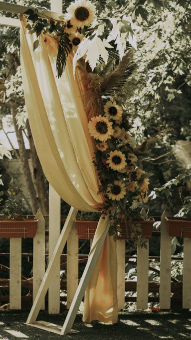 An outdoor wedding or event decoration featuring flowing cream-colored drapery adorned with sunflowers, pampas grass, and greenery, mounted on a wooden arch near a white picket fence.