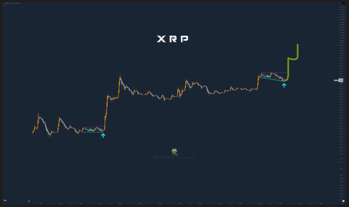 The image features a chart with a blue color background, displaying XRP price trend information against a black background. The chart indicates a rise in XRP value over time. The post caption also says "Nobody said it would be easy. $XRP Via @moonshilla". This suggests that the person who posted the image might have experienced difficulties or challenges while working on this project and wanted to share their insights with others through the picture of the chart displaying XRP price trends.
