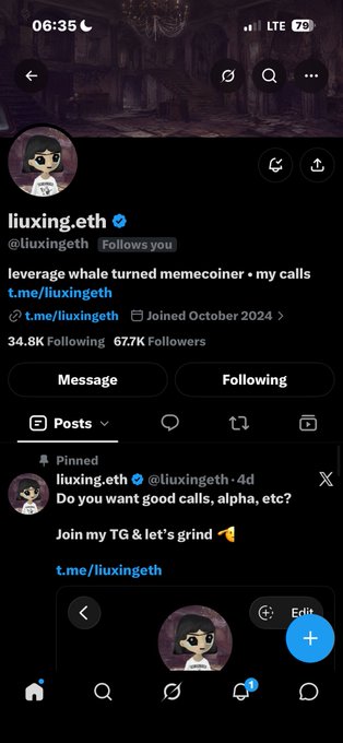 A mobile screenshot of an X (Twitter) profile for 'liuxing.eth' with the handle @liuxingeth, showing a pinned tweet asking to join a Telegram group.
