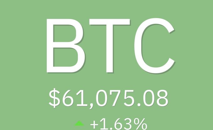 The image displays a green price ticker for Bitcoin (BTC) showing a value of $61,075.08 with a +1.63% gain. The image relates to the post's bullish sentiment about DOGE ("Agora vai meus $DOG?"), as the positive movement in Bitcoin typically correlates with optimism for altcoins like Dogecoin.