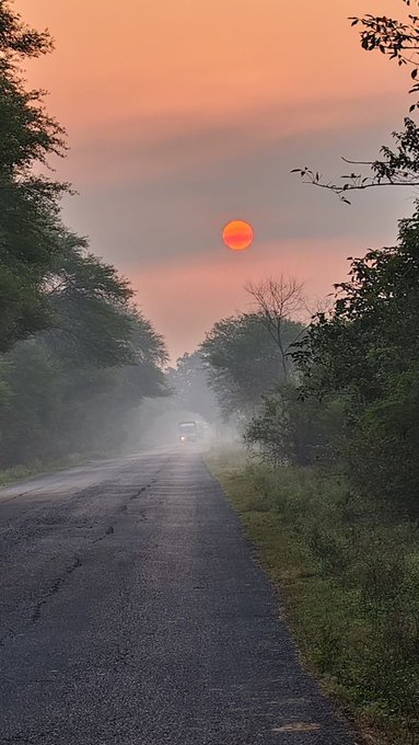 A scenic view of a road at sunset or sunrise with an orange-red sun low in a hazy sky, a vehicle driving along the road through misty trees.