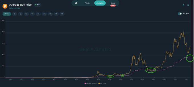 The image displays a graph showing the price of Bitcoin over time during a bear market. The graph shows that the average buy price has not yet retested, indicating that it takes approximately 6-12 months for the price to reach the average after reaching its peak. Currently, the price is at $53,070, which is 7.5 months away from the average.