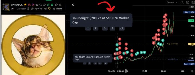 A Catecoin (CATE/SOL) trading chart shows a notification stating "You Bought $200.72 at $10.07k Market Cap," with the chart displaying the token's price action spiking upward—visually supporting the stream's claim of catching the token early as it rallied toward 2M market cap.