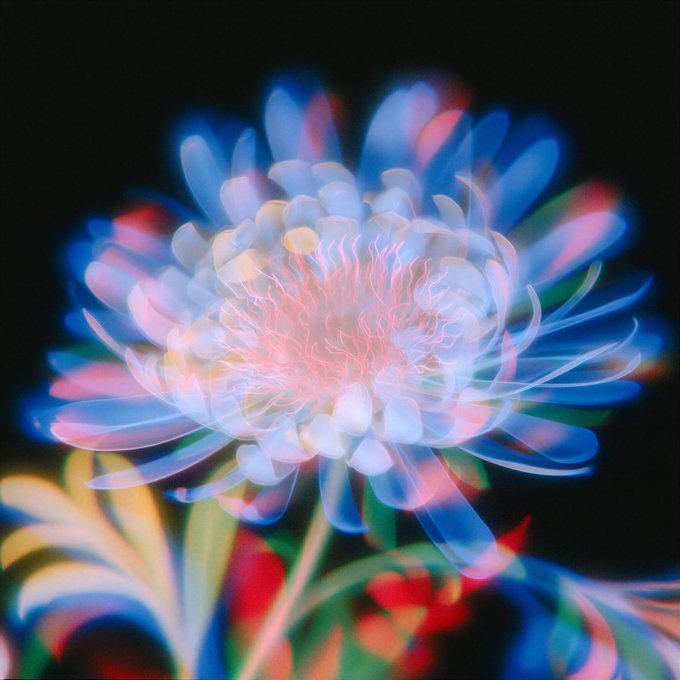 A vibrant, multi-colored digital painting of a luminous flower or sea anemone-like bloom with glowing blue, pink, and white petals against a black background.