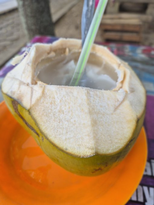 A freshly opened young coconut with a green and white striped straw sits on an orange plate, the clear coconut water visible inside. The image reflects the casual, refreshing mood of "degan in aja dulu kawan" (let's just have some coconut water first, friend) — a laid-back invitation to pause and enjoy a drink.