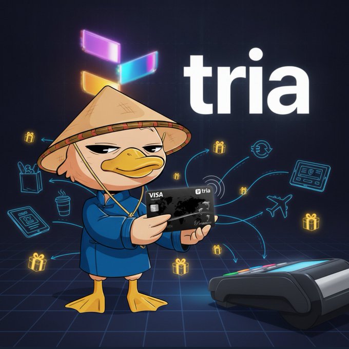 The image features a cartoon duck standing next to a payment terminal with a Visa card displayed on its screen. The duck appears to be using the card to make a purchase or transaction at the terminal. The text in the image suggests that the focus should be on the value of the Visa card, rather than social media metrics like followers and likes. This emphasizes the importance of understanding how to use the card for everyday purchases and transactions, as opposed to solely focusing on online popularity.