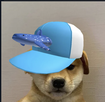 A small brown dog wearing a light blue and white trucker hat with a decorative spotted blue whale perched on the brim.