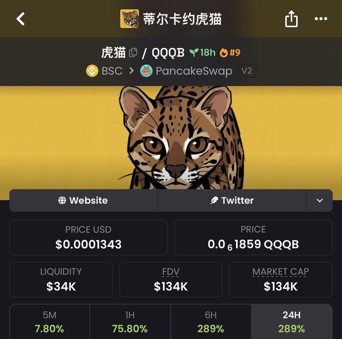 A cryptocurrency tracking page for a token called QQQB (虎猫), displayed in Chinese, shows a price of $0.0001343, a market cap of $134K, and a 289% increase over 24 hours, featuring an illustration of a leopard cat.