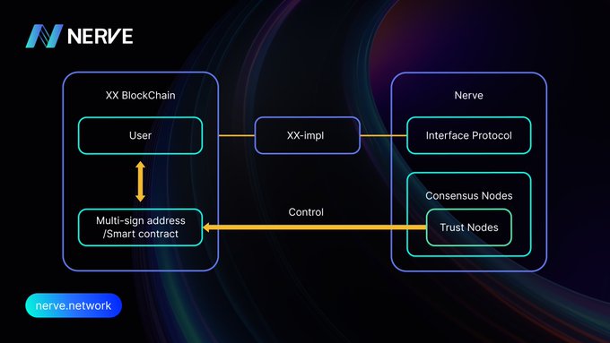 The image is an architectural diagram from Nerve Network illustrating its cross-chain interoperability framework, showing the "XX BlockChain" side (with User and Multi-sign address/Smart contract) connecting to the "Nerve" side (with Interface Protocol and Consensus/Trust Nodes) through an "XX-impl" bridge, with Trust Nodes exerting "Control" over the smart contract. This visually reinforces the post's message of secure, reliable cross-chain infrastructure where every transaction and asset transfer is processed through this trusted validation system.