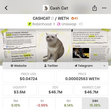 A screenshot of the Cash Cat (CASHCAT/WETH) meme coin's analytics page on Uniswap V3, priced at $0.04724 USD with a $3.6M liquidity and $46.7M FDV/market cap, featuring a meme-style illustration of a cat with captions about chastity during wartime periods—reflecting the post's playful "Cat rules the world" theme through its feline-focused cryptocurrency branding.