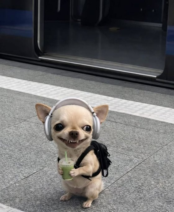A digital illustration of a smiling chihuahua wearing white headphones, carrying a small black backpack, and holding a green beverage with a straw, standing on a tiled platform near a train door.