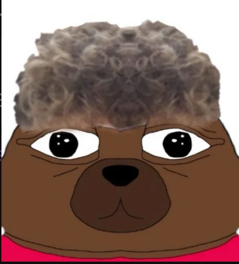 The image features a cartoon depiction of a brown bear with a large, curly mane covering its head. The bear's eyes are wide open, giving it an intense look as if it's staring directly at the viewer. The background of the image is white, which contrasts with the brown fur and highlights the bear's features. There is no text present in the image, but there is a caption that reads "or stay crypto only and short every coin to ZEROOOO".