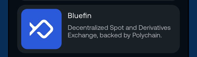 A digital card or banner for 'Bluefin' describing it as a 'Decentralized Spot and Derivatives Exchange, backed by Polychain' with a blue logo.