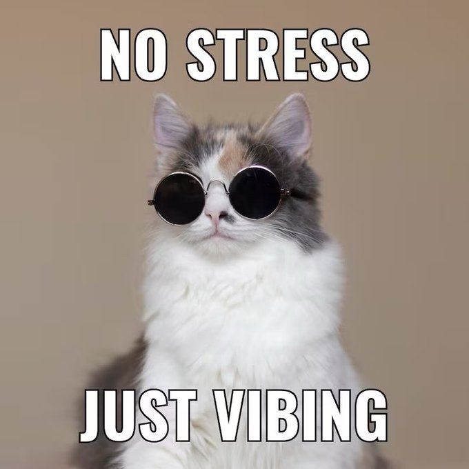 A fluffy calico cat wearing small round sunglasses sits against a tan background, with text reading "NO STRESS" above and "JUST VIBING" below.