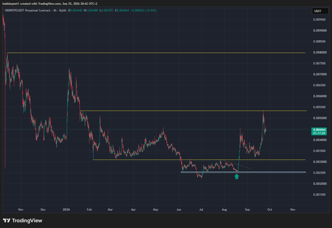 A TradingView chart for the 1000PEPE/USDT Perpetual Contract on Bybit, showing price action with horizontal support/resistance levels and a current price near 0.0000466.