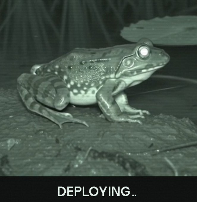 A frog in night-vision camera style image with glowing eyes sits on a log above the caption "DEPLOYING..", humorously referencing the mention of @0xDeployer being called upon to help Uniswap with deployment.