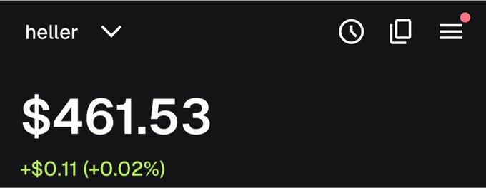 The image shows a stock portfolio entry for "heller" with a value of $461.53, displaying a slight gain of +$0.11 (+0.02%). It appears to be a screenshot from an investment tracking app, likely illustrating a small holding that aligns with the post's question about what they are buying.