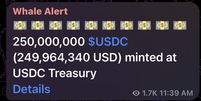 The image shows a screenshot of an iPhone screen with a message about a $250,000 USDC (United States Dollar Coin) that has been minted at the USDC Treasury. The text indicates that this coin was minted on January 11th, 2019 and is now available for purchase.