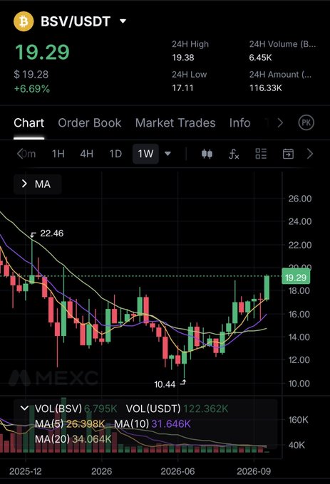 A MEXC cryptocurrency trading chart for BSV/USDT showing a current price of 19.29 (+6.69%), with 24H High of 19.38, 24H Low of 17.11, and a weekly candlestick chart displaying price action from late 2025 through September 2026.