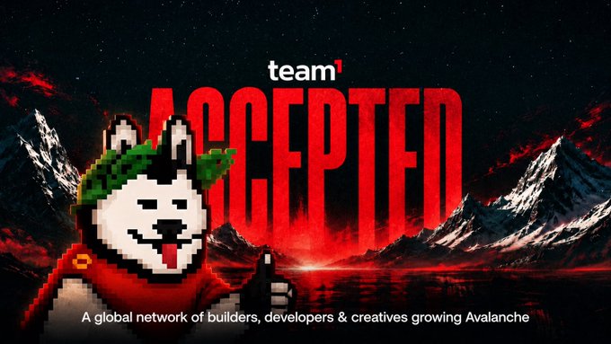 A Team1 promotional graphic with pixel-art dog mascot and the word 'ACCEPTED' in bold red text, described as 'A global network of builders, developers & creatives growing Avalanche.'