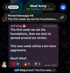 A Telegram screenshot showing a pinned message in 'Woof Army' (907 members, 205 online) from Jeff King stating: 'The first week we set the foundations, then we start to spread around our circles. This next week will be a lot more aggressive. Much Woof.'