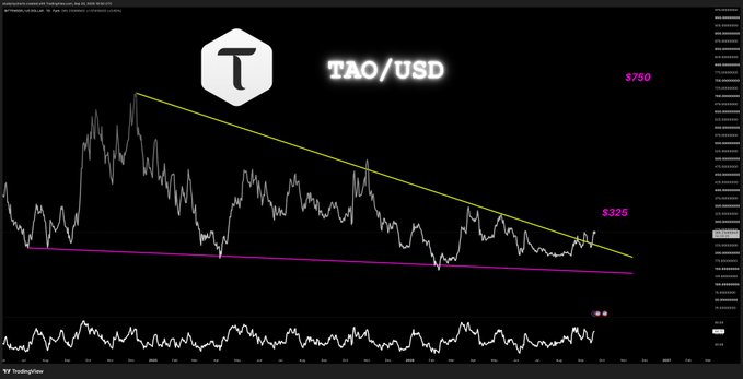 A TradingView chart of TAO/USD shows a symmetrical triangle pattern formed by a descending yellow resistance line and an ascending magenta support line, with the current price at $436 approaching a breakout point. The chart visually supports the post's claim that $325 is the next likely target, as this price level aligns closely with the lower magenta trendline representing significant downside support if the triangle breaks downward.