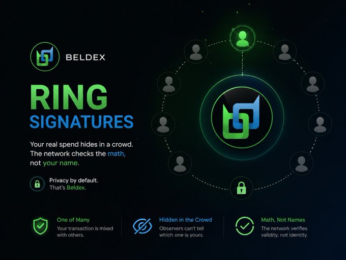 Promotional graphic for Beldex's 'Ring Signatures' privacy feature, highlighting 'Privacy by default. That's Beldex.' with icons showing 'One of Many,' 'Hidden in the Crowd,' and 'Math, Not Names.'