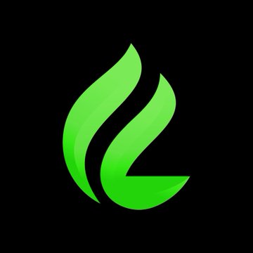 A green flame or leaf-shaped logo set against a solid black background.