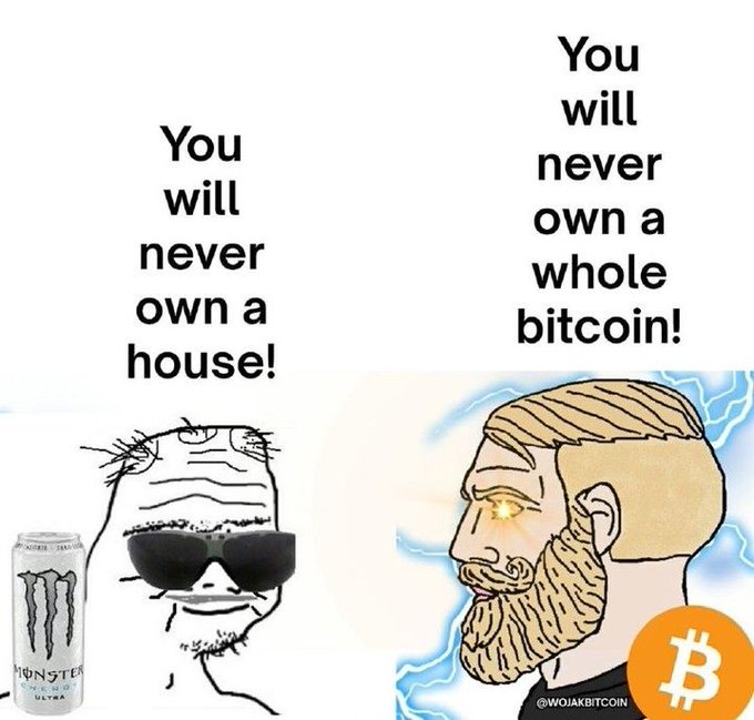 A cryptocurrency meme contrasting two characters: one labeled 'You will never own a house!' holding a Monster Energy drink, and another labeled 'You will never own a whole bitcoin!' depicted as a glowing-eyed 'Bitcoin wojak', with the @WOJAKBITCOIN watermark.