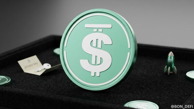A 3D render of a large, mint-green USDC stablecoin coin with a dollar sign symbol, displayed on a black velvet surface alongside a small rocket and a 'private key' tag, watermarked '@BON_DEFI'.
