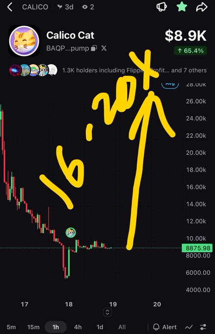 A trading chart for "CALICO" (Calico Cat) token shows a current price of $8.9K, up 65.4%, with handwritten yellow text "16 net" and an upward arrow suggesting an expected price increase.