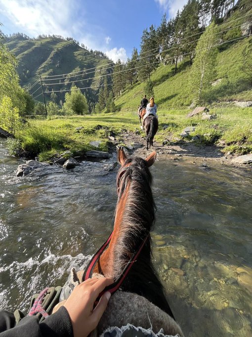 A first-person POV shows the photographer riding a brown horse through a shallow mountain stream, following another rider ahead on a path lined with green grass and pine trees.