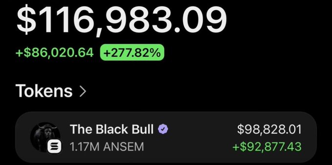A cryptocurrency portfolio screen showing a total balance of $116,983.09 (+277.82%), featuring a token called 'The Black Bull' with 1.17M ANSEM valued at $98,828.01.