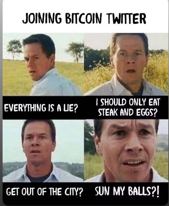 A four-panel meme features Mark Wahlberg with confused facial expressions, captioned with skeptical reactions to common Bitcoin Twitter advice: "EVERYTHING IS A LIE?", "I SHOULD ONLY EAT STEAK AND EGGS?", "GET OUT OF THE CITY?", and "SUN MY BALLS?!". The humorous image satirizes the unconventional lifestyle tips often propagated in the Bitcoin community, playfully contrasting with the accompanying post's sincere gratitude for fellow Bitcoiners sharing in this quirky online culture.