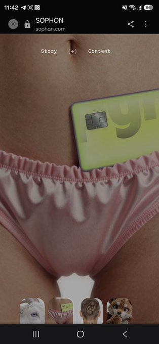 A screenshot from the Sophon website showing a close-up image of a person in pink underwear with a bright green card visible, with the post alleging that "Seb" rugged investors' money to fund luxury lifestyle and airdrop farming. The image's provocative display contrasts with the post's accusations of fraud and misuse of raised funds.