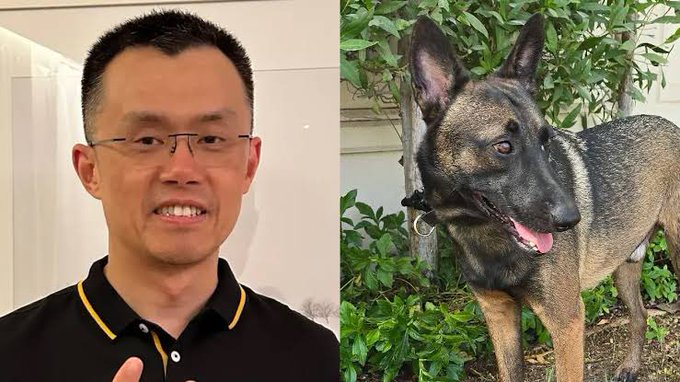 A man wearing glasses and a black polo shirt appears on the left, while a German Shepherd dog stands outdoors among bushes on the right. The post celebrates International Dog Day and highlights Broccoli, the dog of Binance founder Changpeng Zhao (CZ), whose image accompanies the announcement for the 42.space event.