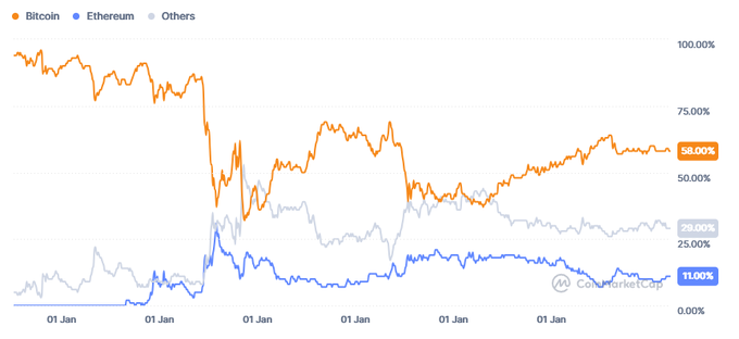 A line chart showing the year-over-year performance of Bitcoin (58.00%), Ethereum (11.00%), and Others (29.00%), illustrating Bitcoin's market dominance.