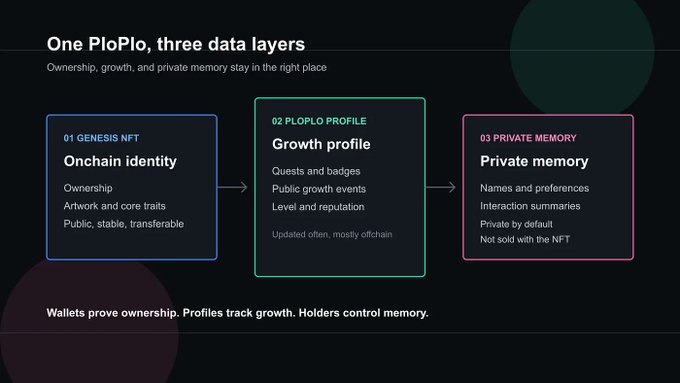 A diagram titled "One PloPlo, three data layers" illustrating PloPlo's separation of identity into three components: "01 GENESIS NFT" (Onchain identity with ownership, artwork and core trails that are public, stable, transferrable), "02 PLOPLO PROFILE" (Growth profile with quests, badges, public growth events, level and reputation, mostly off-chain), and "03 PRIVATE MEMORY" (Private memory with names, preferences, interaction summaries, private by default and not sold with the NFT), concluding with "Wallets prove ownership. Profiles track growth. Holders control memory."