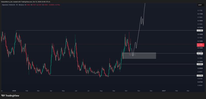 A TradingView daily chart of Algorand (ALGO/USDT) on Binance shows price action from early 2025, with the post's caption pointing out key demand zones around $0.096 and $0.11 where a potential re-entry buy setup is anticipated, illustrated by the white upward arrow suggesting a bounce from that lower demand area.