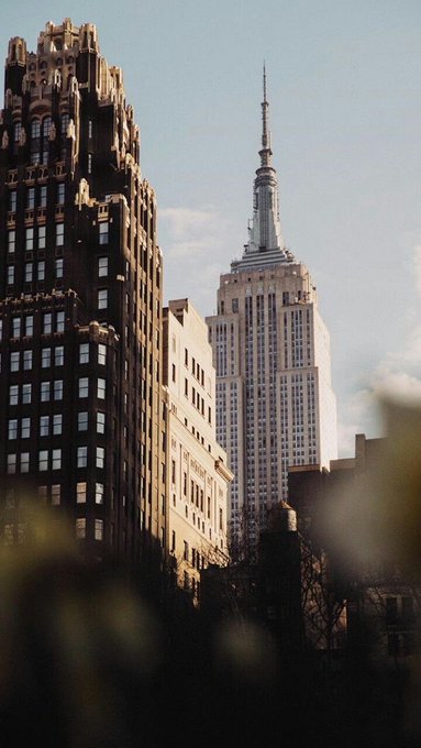 The Empire State Building rises in the background behind darker brick buildings, viewed from a street-level perspective with foliage in the foreground.