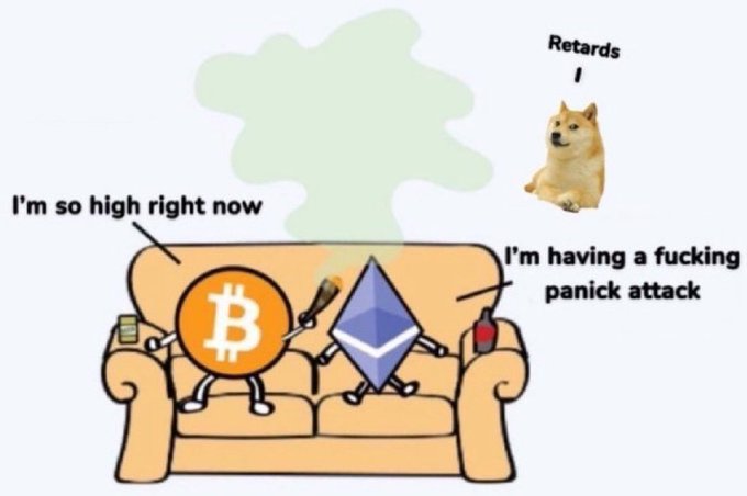 The image is a meme featuring Bitcoin and Ethereum characters sitting on a couch, with Bitcoin saying "I'm so high right now" while smoking, and Ethereum saying "I'm having a fucking panick attack." In the corner, a Doge character labels them as "Retards," humorously framing the $DOGE meme as mocking the contrasting price action of Bitcoin (pumping) versus Ethereum (struggling).