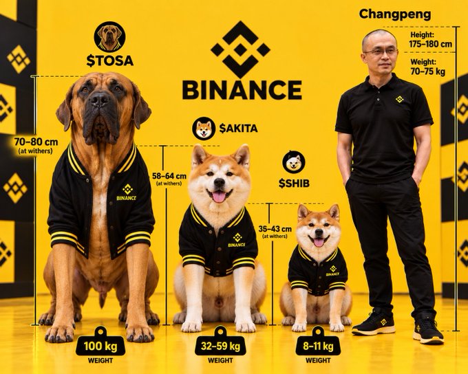 A Binance-themed graphic showing a man labeled 'Changpeng' (175-180 cm, 70-75 kg) standing alongside three dogs in Binance jackets labeled '$TOSA' (100 kg), '$AKITA' (32-59 kg), and '$SHIB' (8-11 kg) with Binance logos and yellow background.