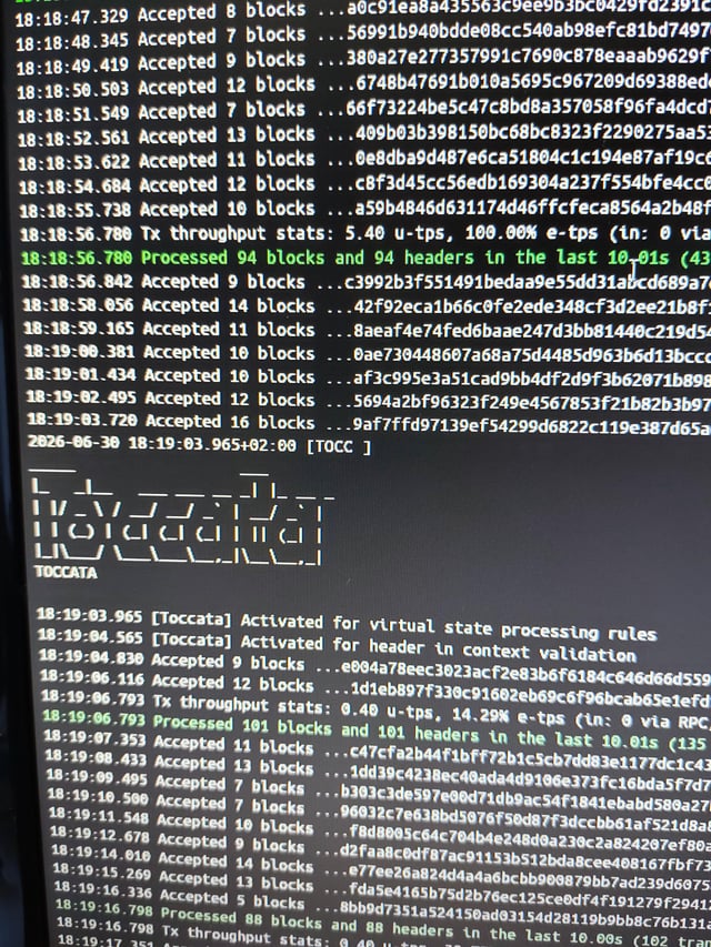 A computer screen displaying blockchain transaction logs with entries like 'Accepted 8 blocks,' 'Processed 94 blocks and 94 headers in the last 10.01s,' and TOCCATA protocol activity including 'Activated for virtual state processing rules.'