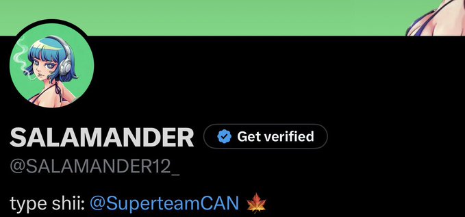 Twitter/X profile header for user 'SALAMANDER' (@SALAMANDER12_) with a verified badge, featuring anime-style avatar art and text 'type shii: @SuperteamCAN 🍁'