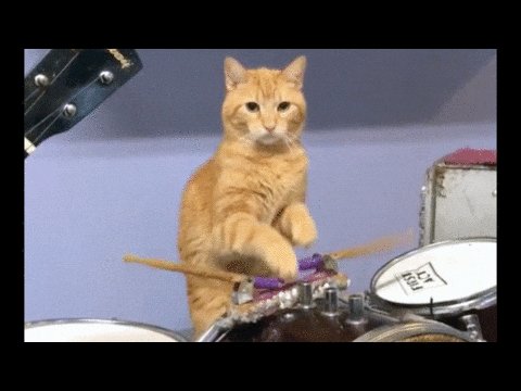 A cat playing with a drum set, standing on top of two drums behind a drumstick. The image description says that they have been hitting 52 weeks low, implying a decrease in stock value or earnings.