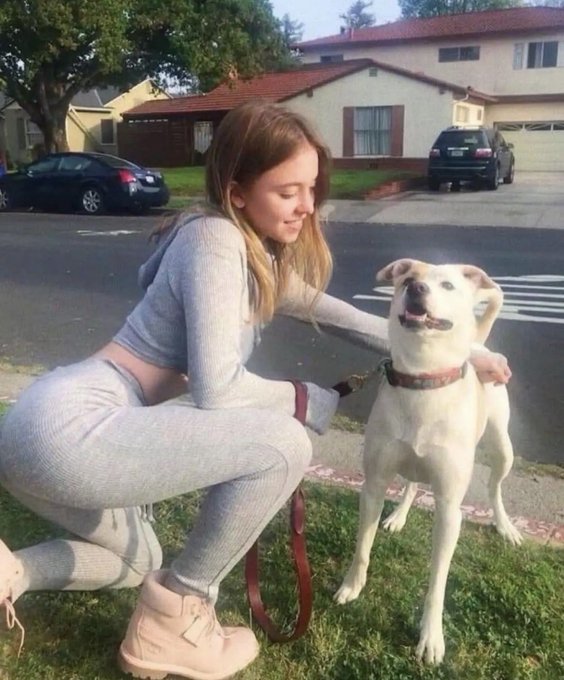 A young woman in a grey cropped sweater and sweatpants crouching on a lawn next to a happy white and brown dog on a leash, with suburban houses and cars in the background.