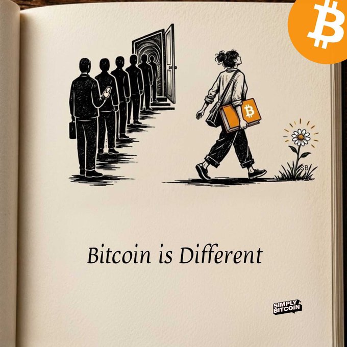 The image features a book with an illustration of people lined up outside a door, each carrying a shopping bag. A woman holding a flower can be seen among them. Below this scene, there's text that reads "Bitcoin is Different". The main focus of the image is on the book and its content, which seems to be promoting Bitcoin as a unique and distinct form of currency or digital asset.