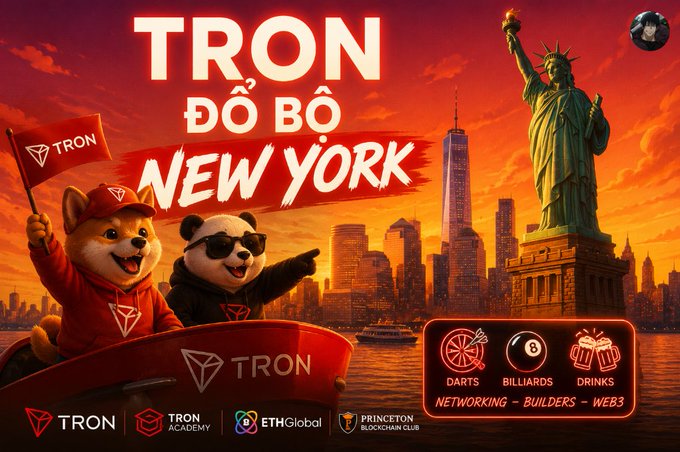 The image features a cartoon scene of two panda bears wearing sunglasses and waving at the camera while riding a boat. The background shows an illustration of New York City, with the Statue of Liberty visible among other landmarks. The text "TRON do výn do bầu nhân new york" is written above the scene, indicating that this image is related to Tron's game or platform called "New York".